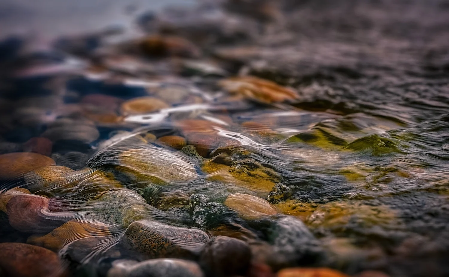 River_California.jpg