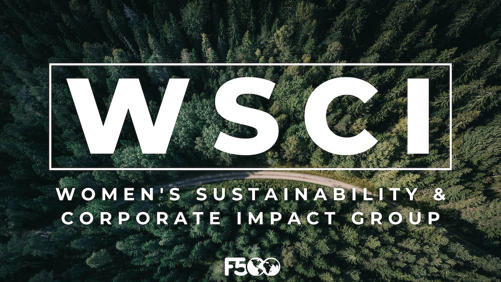 Introducing the WSCI Group