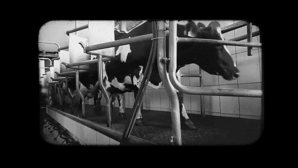 ezgif.com-gif-maker (17).gif