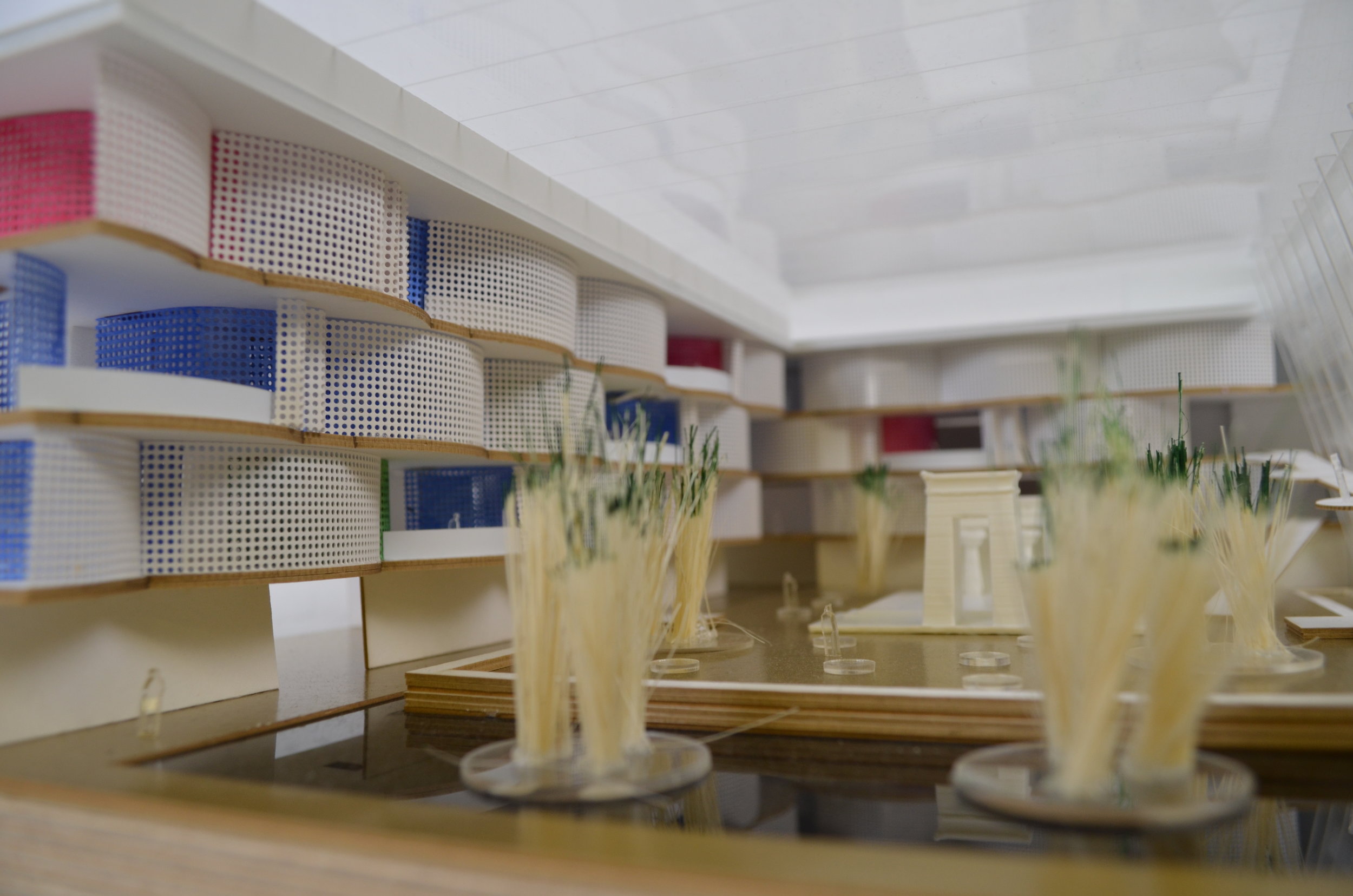 ARCH_VPPR_Javier Moya_FA17_21_Egypt.JPG