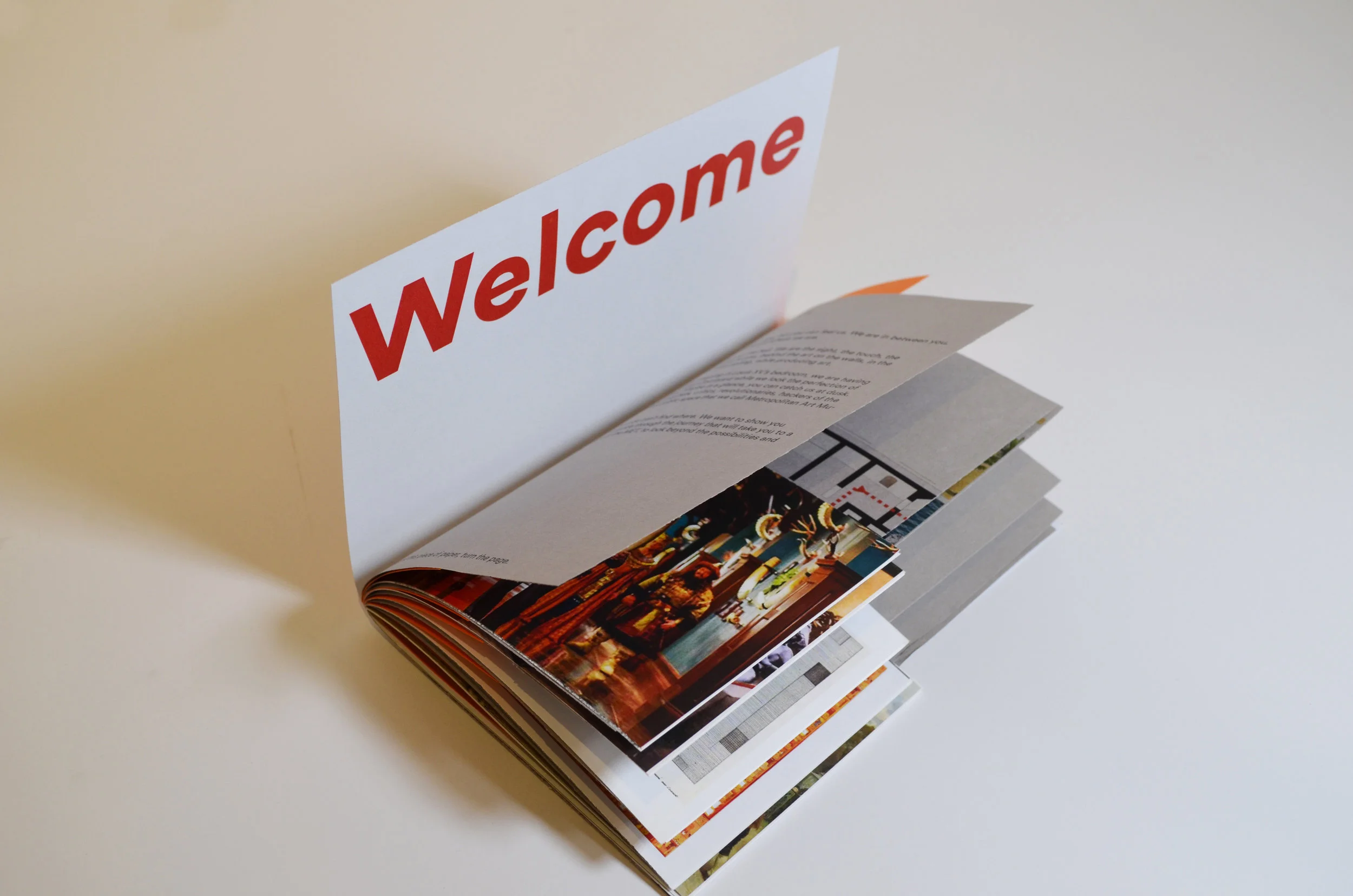 ARCH_VPPR_Javier Moya_FA17_39_Book.JPG