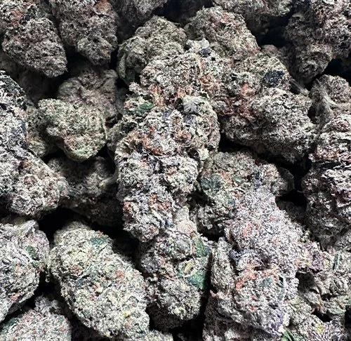 Apple Farms - Lemon Cherry Gelato