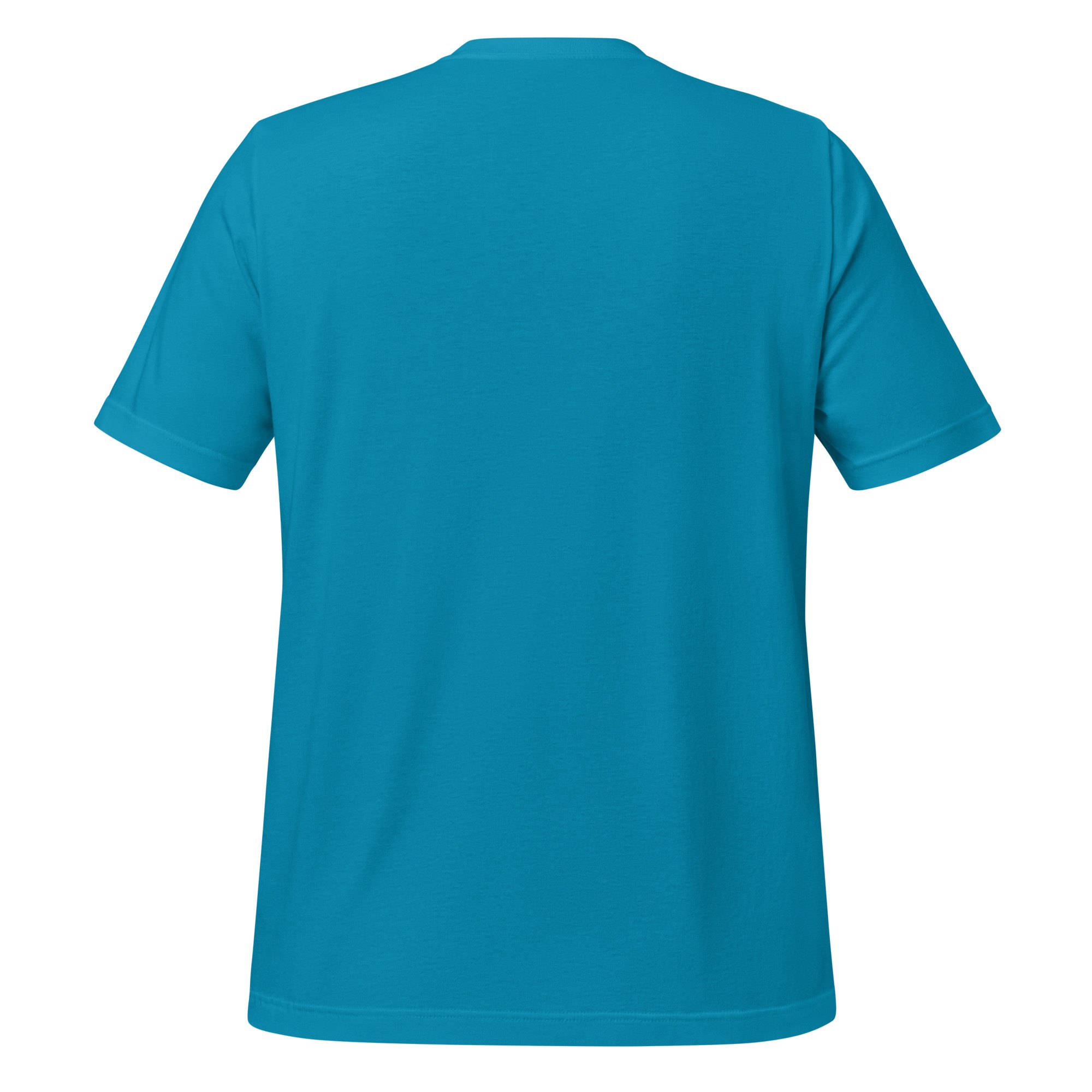 unisex-staple-t-shirt-aqua-back-69692b2f0d033.jpg