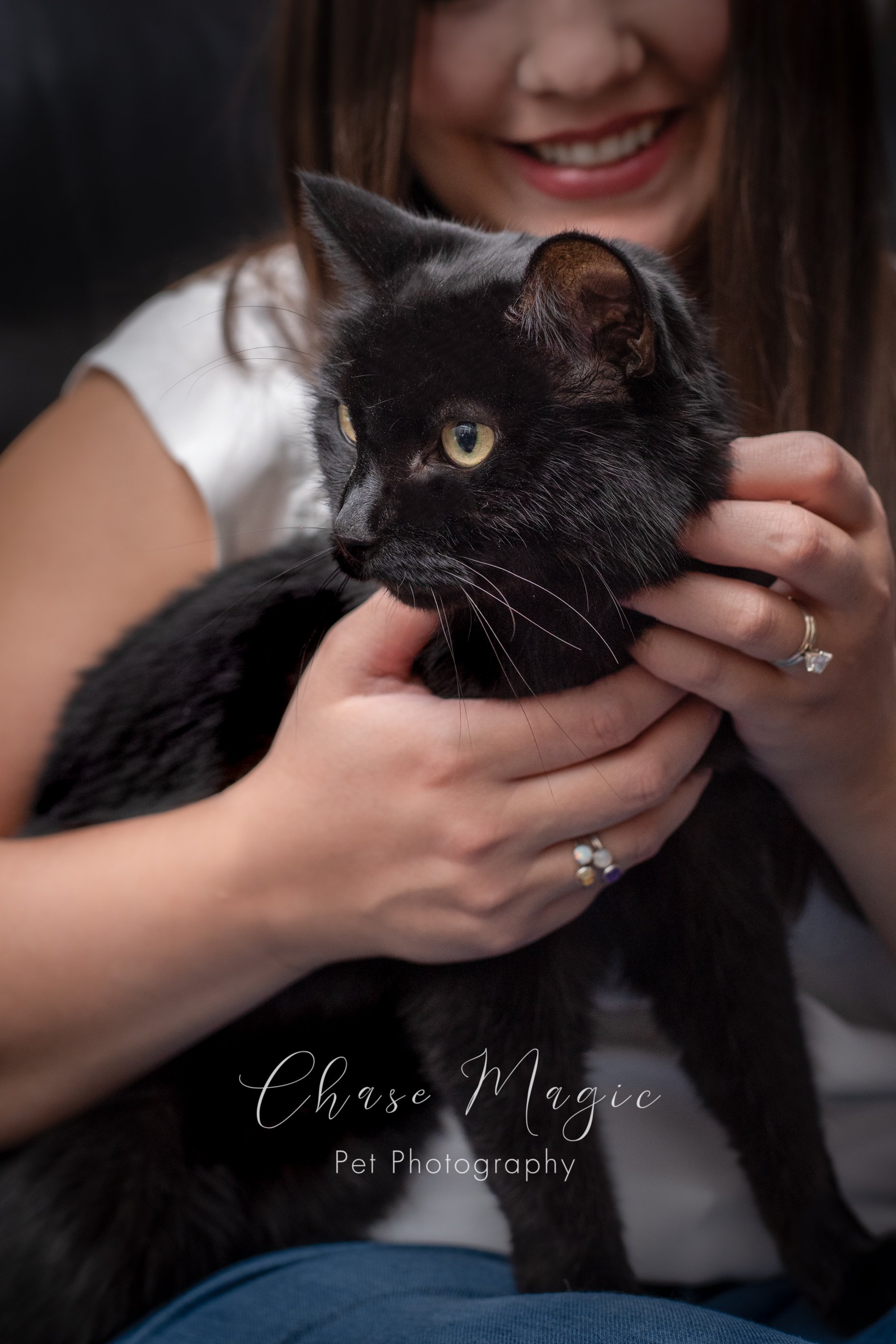 cute little black cat being held by its owner