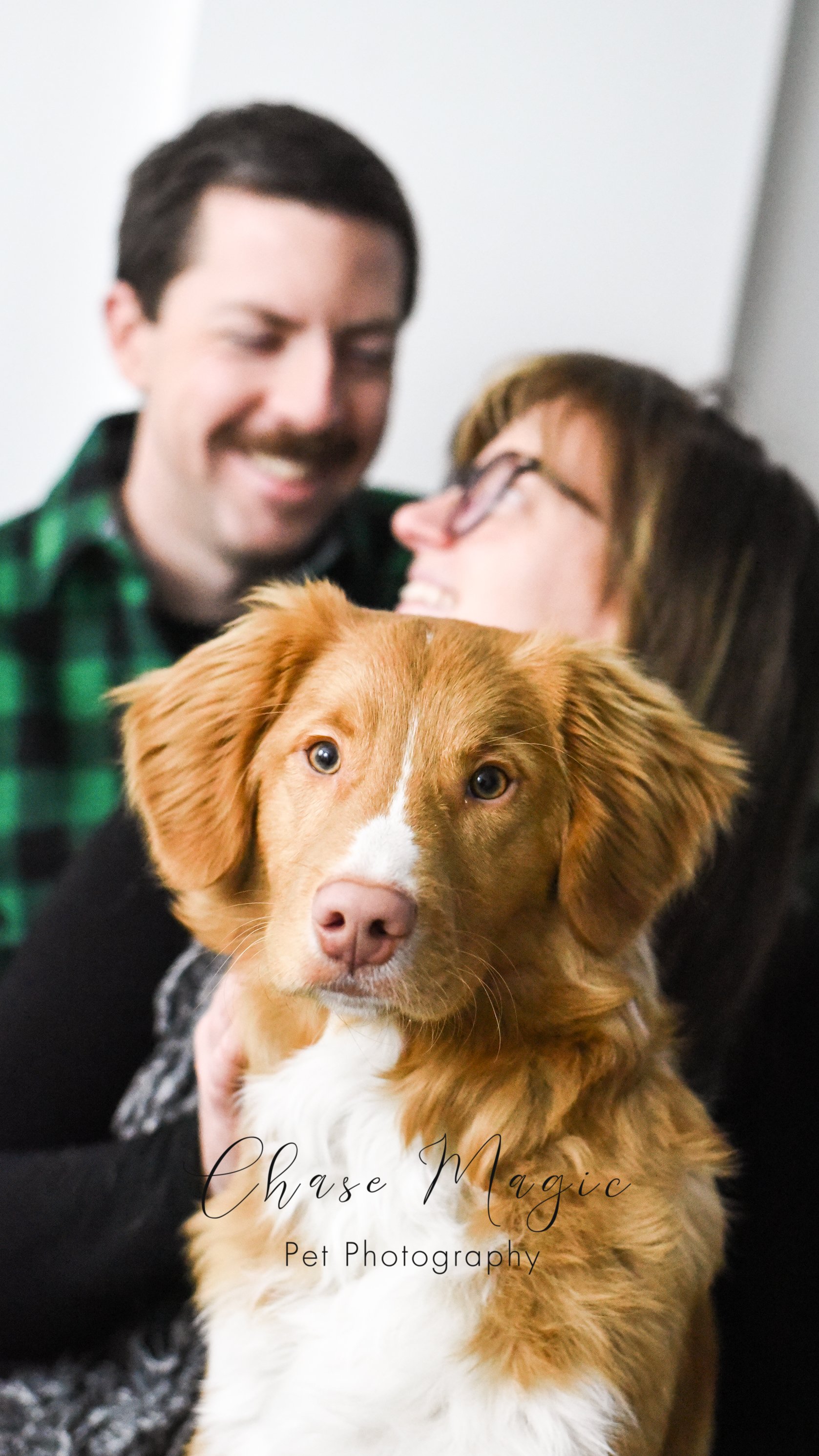 cute golden dog looking into the camera while sitting with a man in a green shirt and a women in glasses