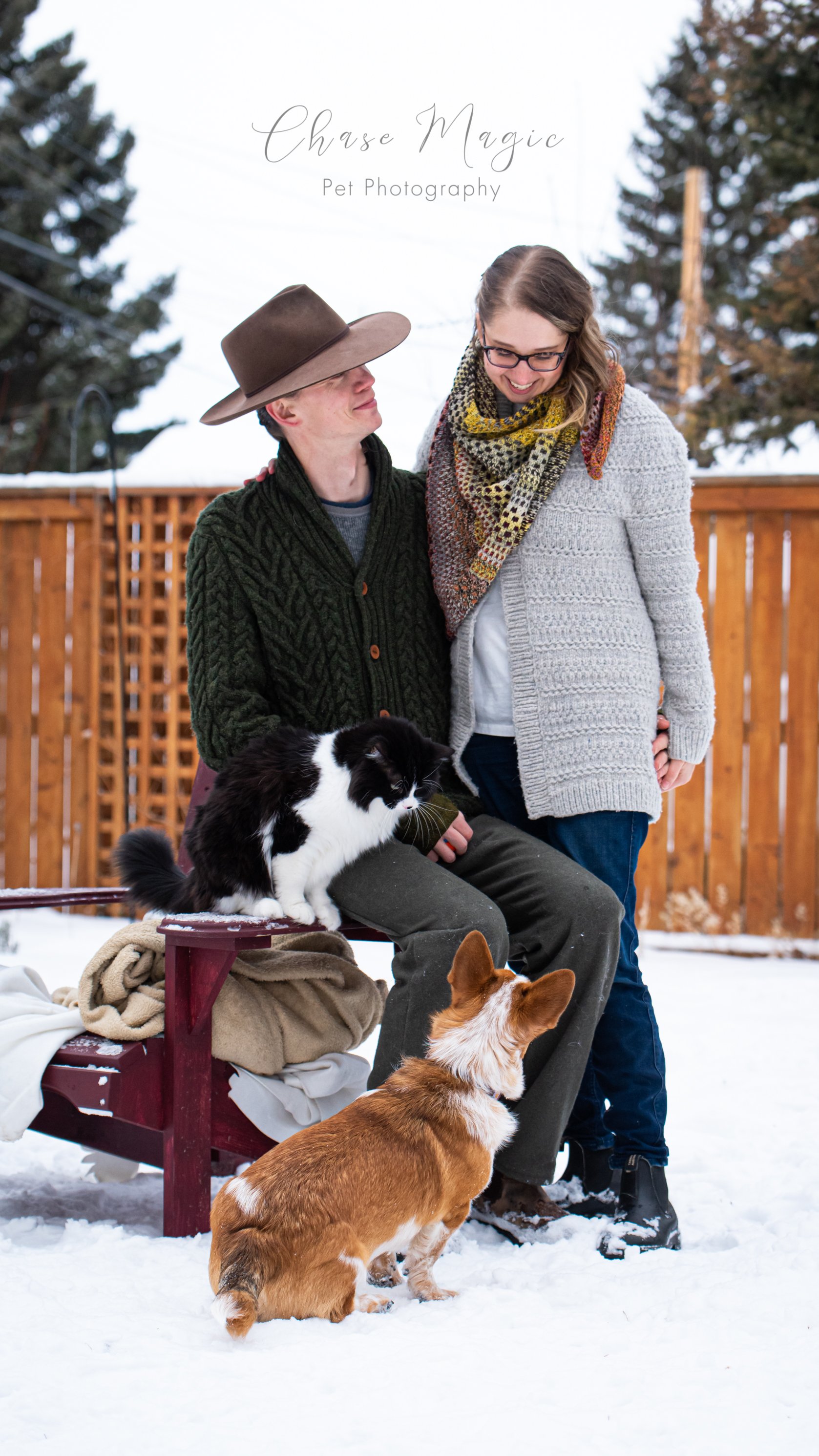 black and white cat and a brown corgi outside in the winter snow with owners