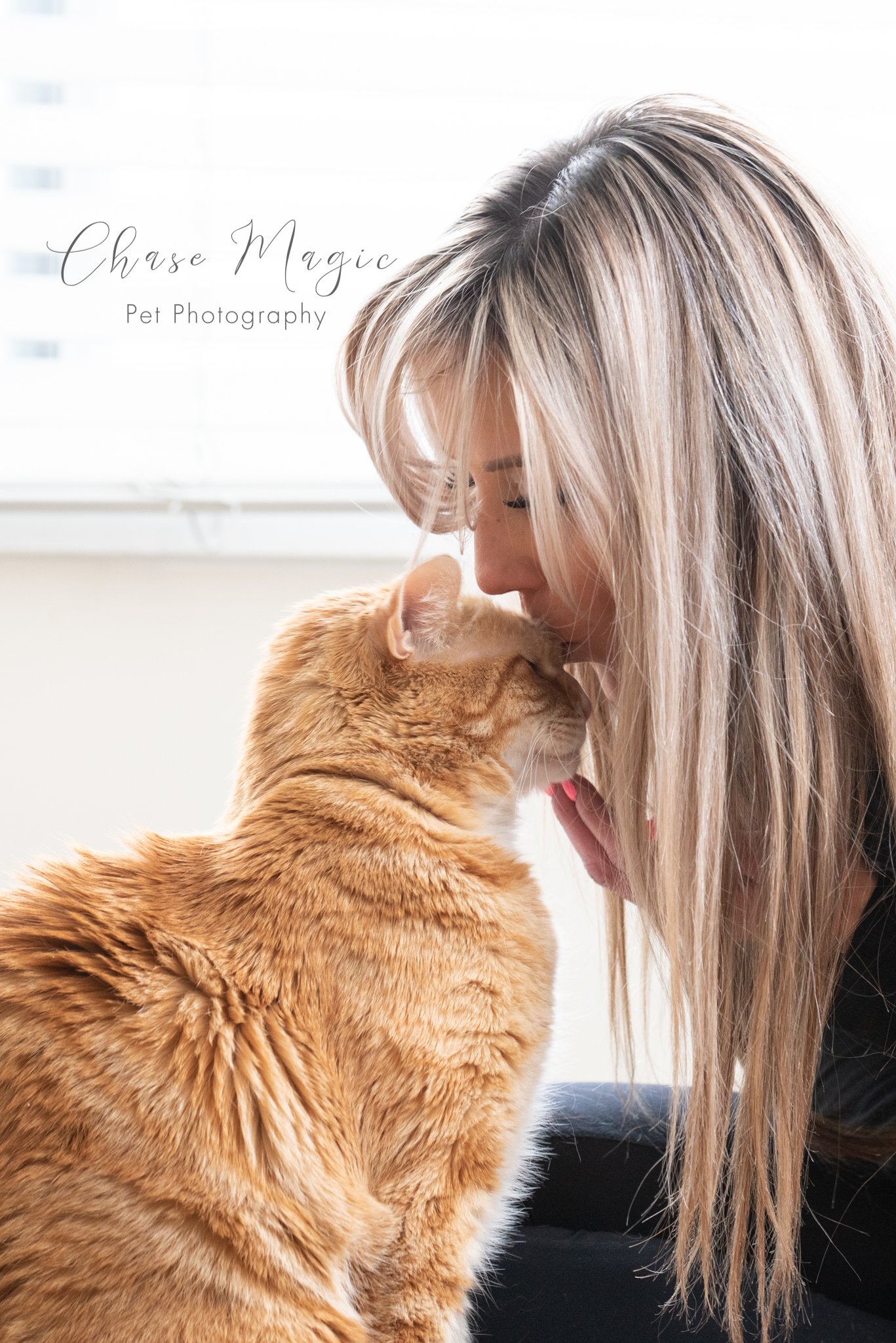 orange cat getting kisses from a women