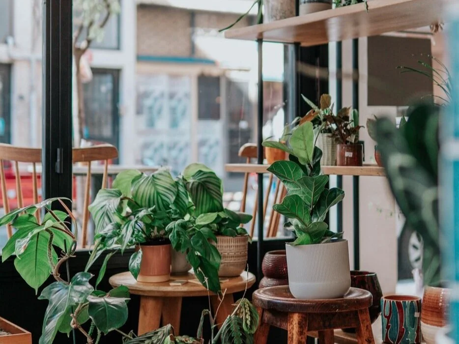 What is Biophilic Design? This Nature-Based Interiors Trend Promises Wellness