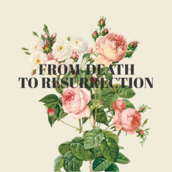 From Death to Resurrection