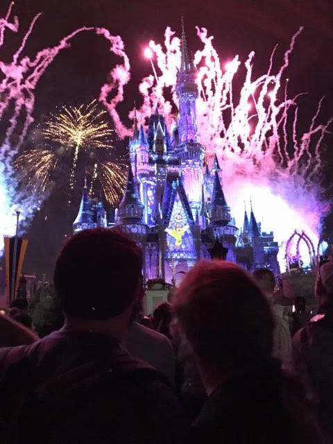Why Another Disney Podcast? Introducing Love of the Mouse Podcast