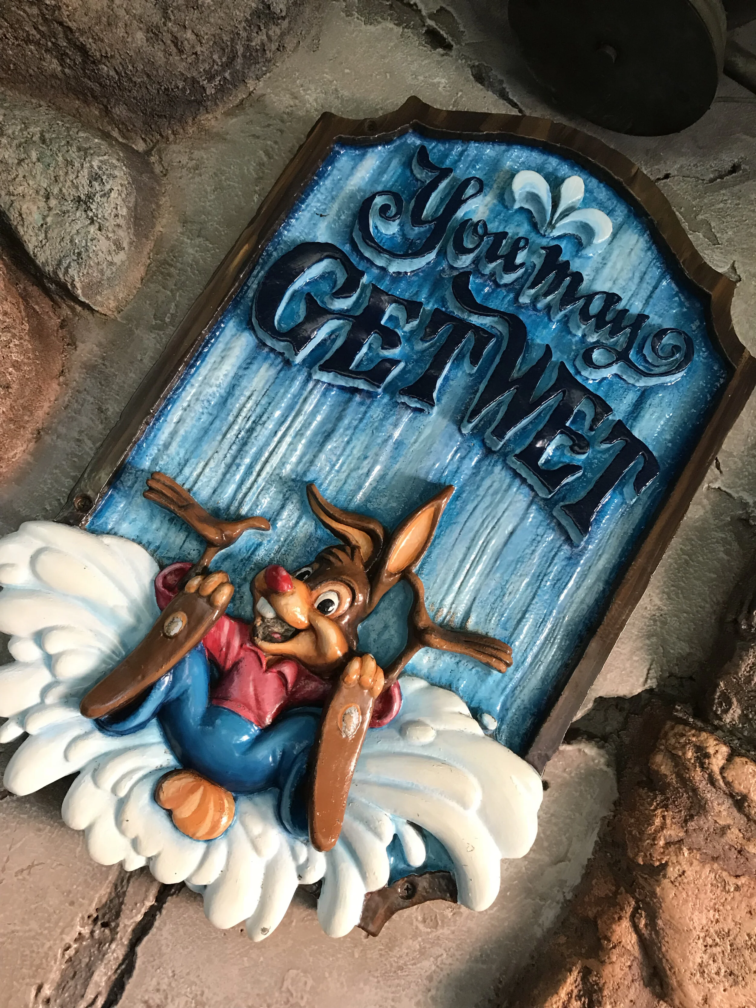 Splash Mountain You May Get Wet Sign