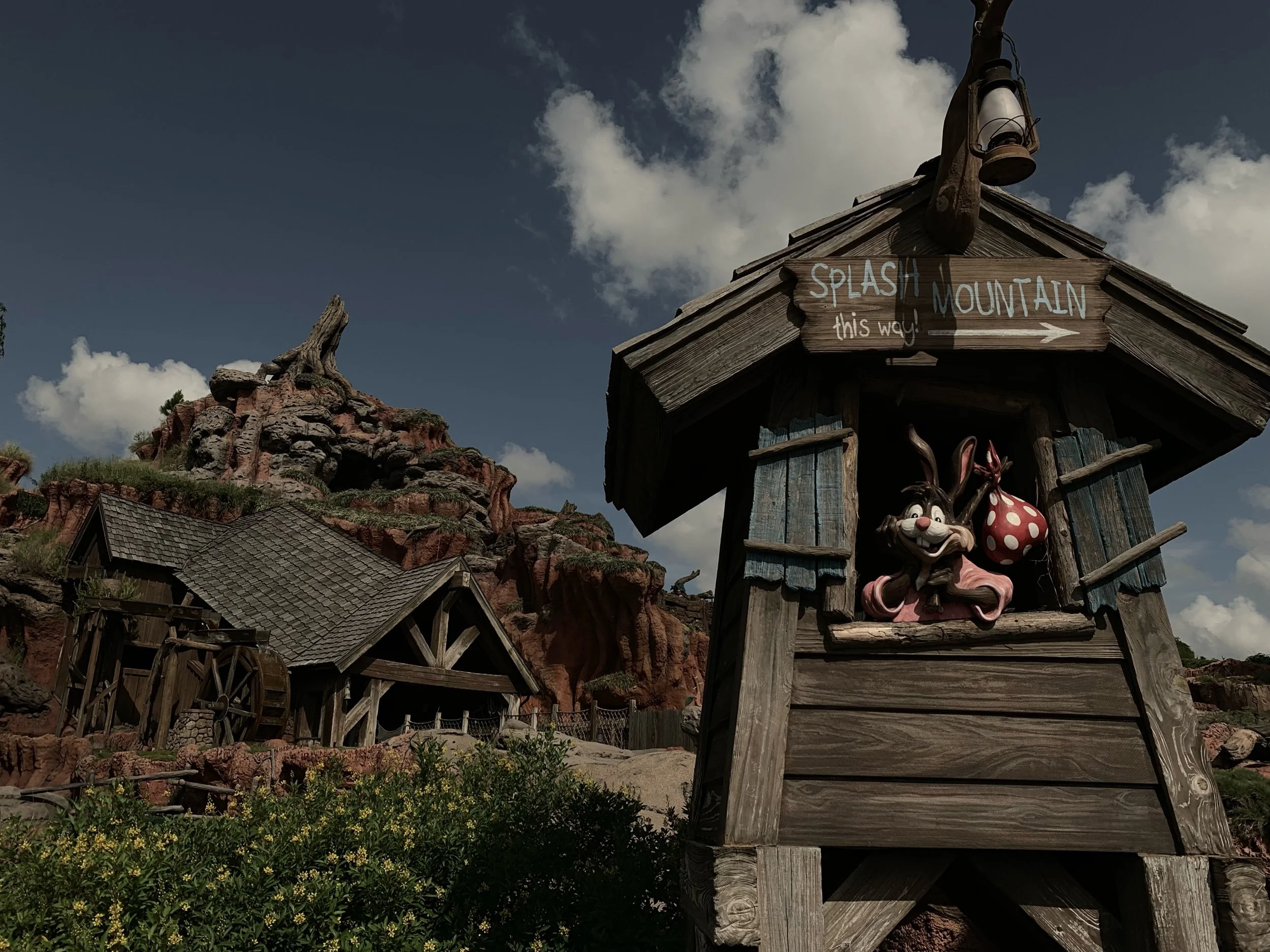 The Rides They are A-Changin' | Splash Mountain to be Re-Themed to Princess and the Frog