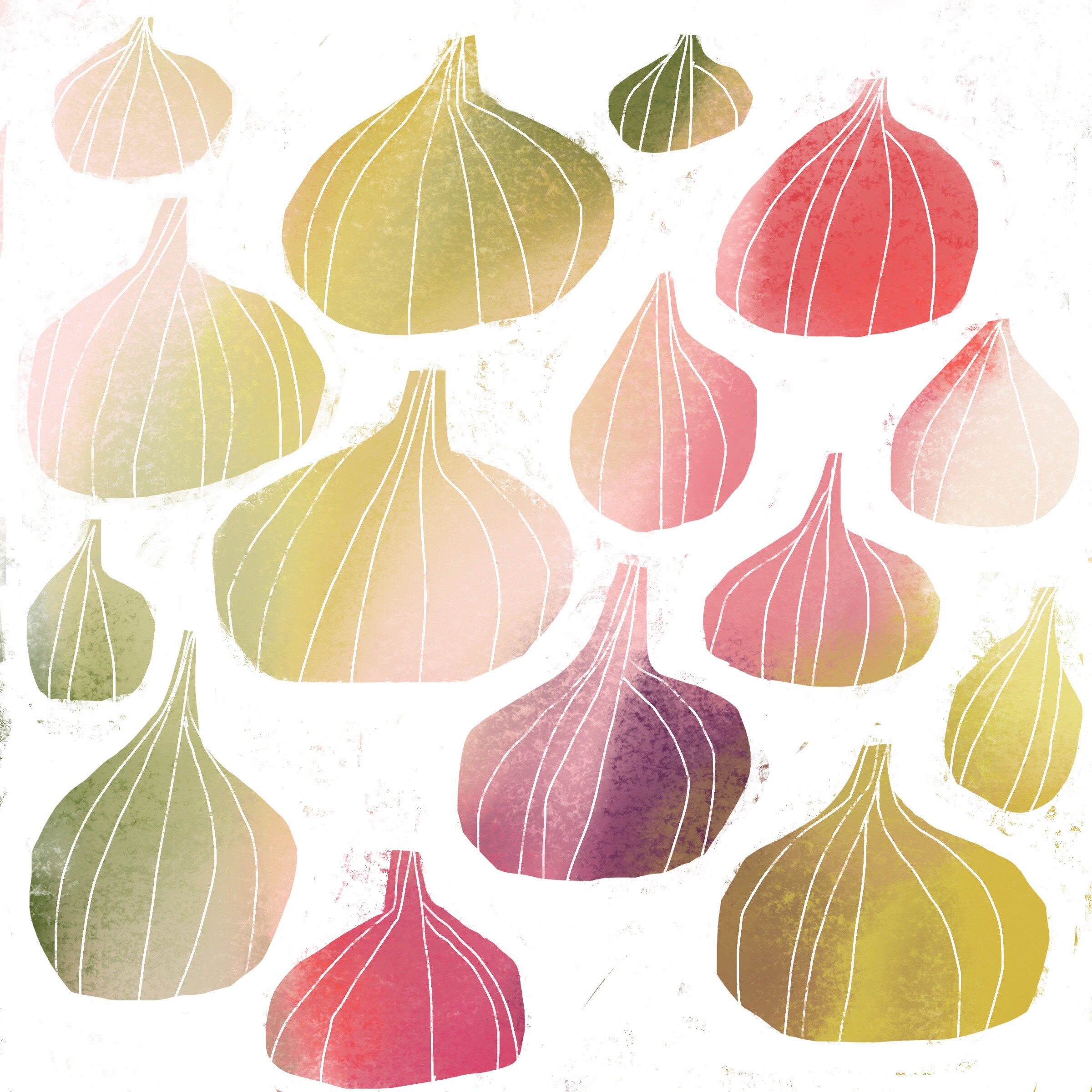 Fresh Figs Illustration