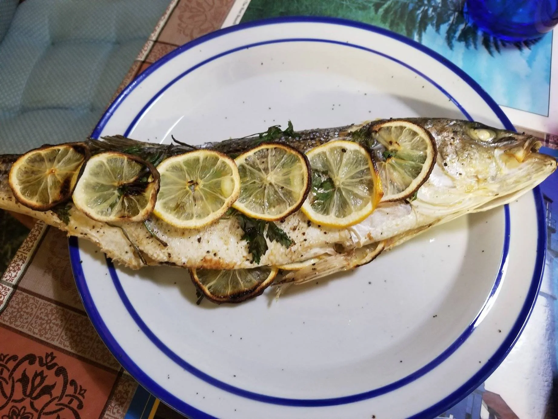 meg fish 1.jpg