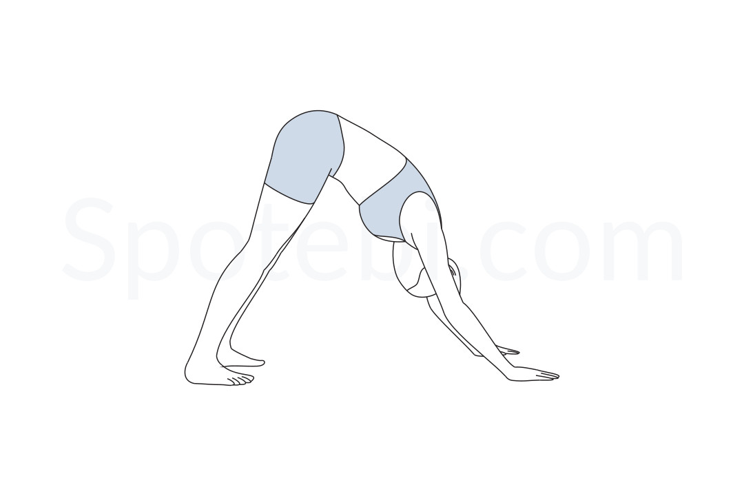 downward-facing-dog-pose-adho-mukha-svanasana.jpg