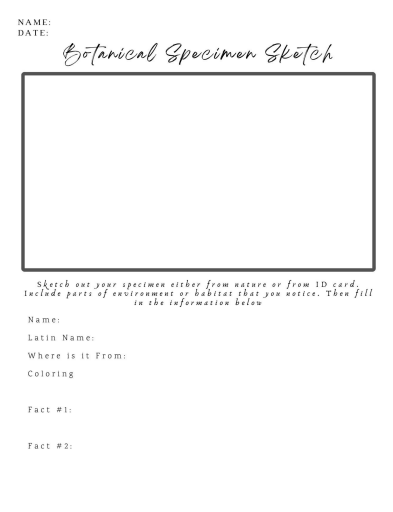 2023-03-31 (13).png