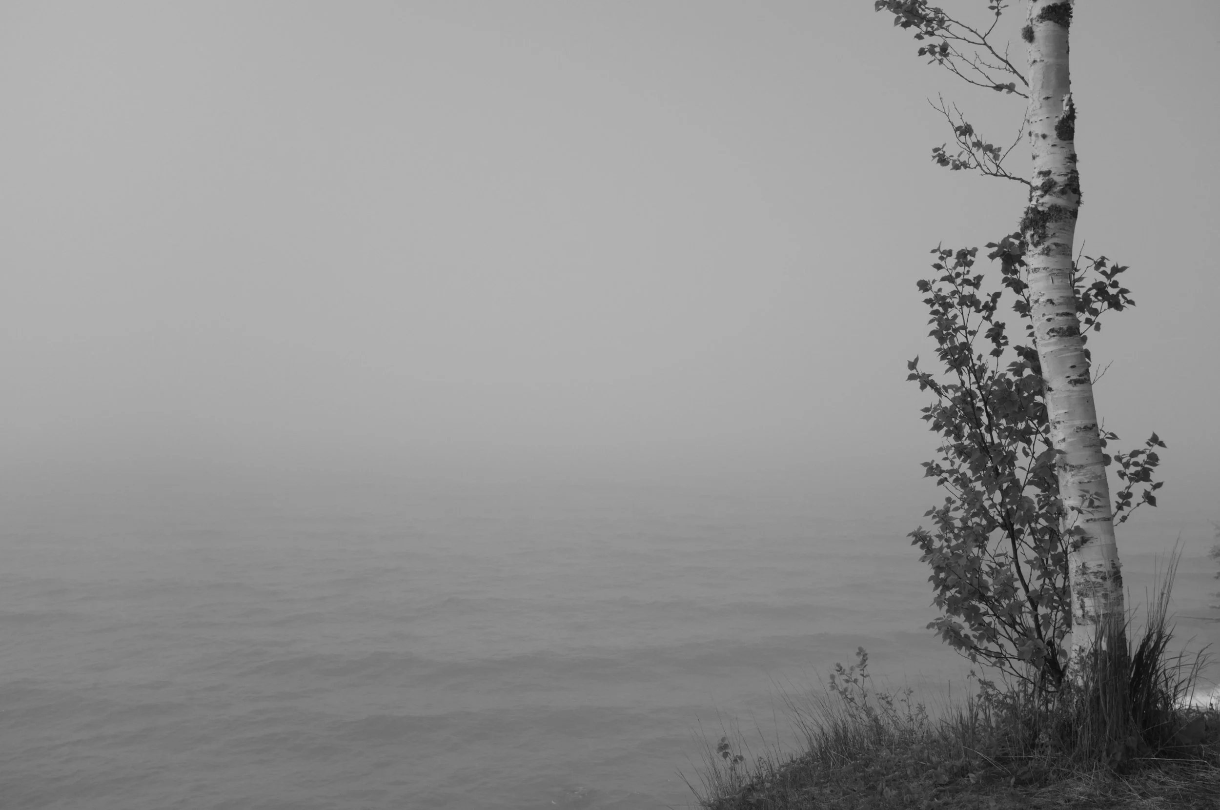 DSCF8640.jpg