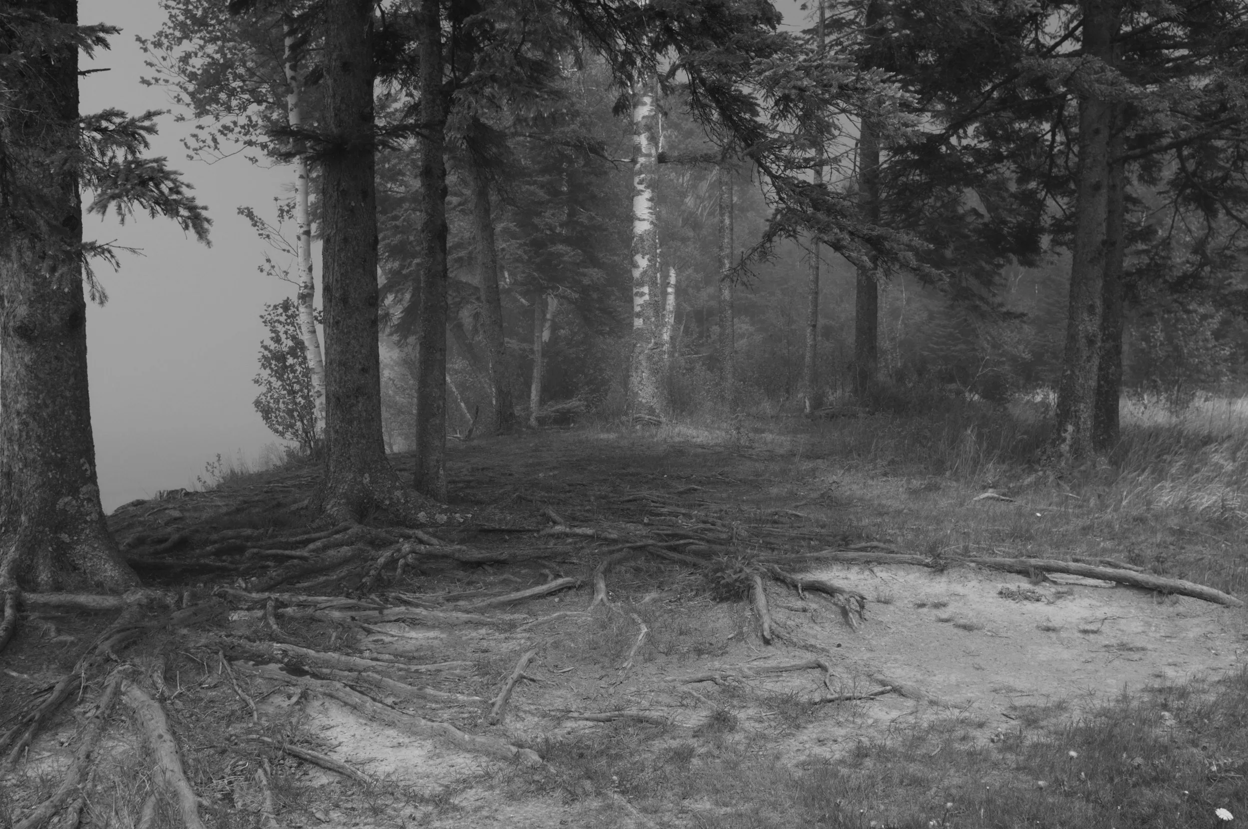 DSCF8643.jpg