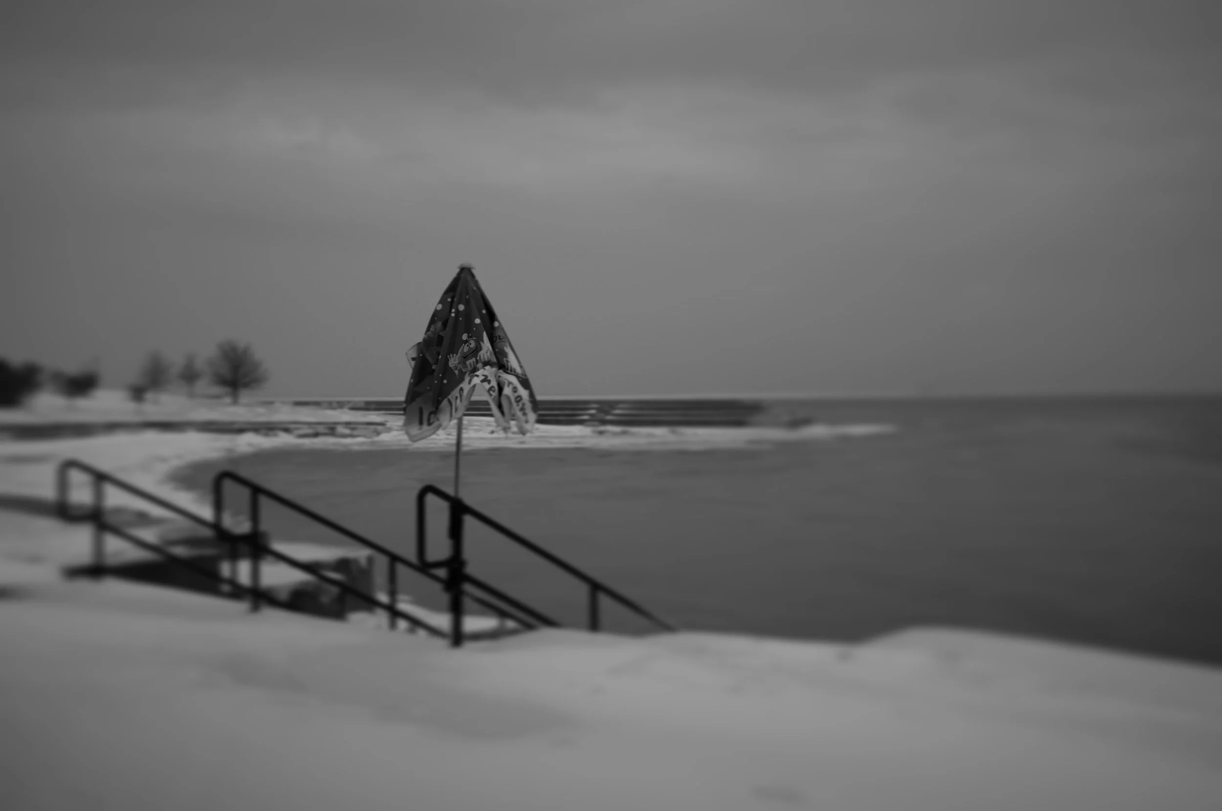 IMG_6994.jpg