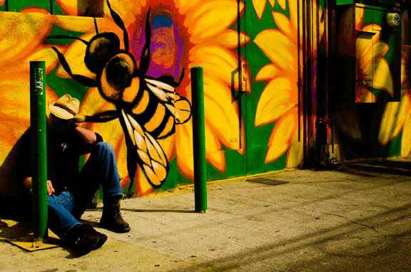 Learn the geometry of creation from a bee. Navigating the mirrored fractal honeycomb Part 1