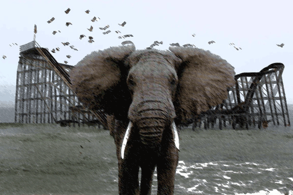 Identifying sublime arrogance in the way we speak about ‘animals’ 