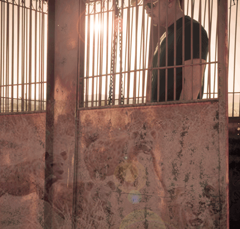 Discover the Language of Lions. You are not your thoughts... each, one of a million passing wildebeest.