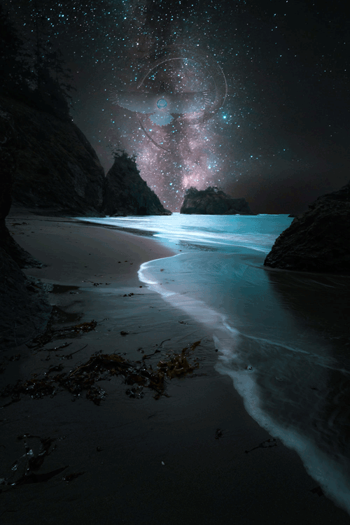 Why the universe is silent. Find out heavier truths about 'progress'.