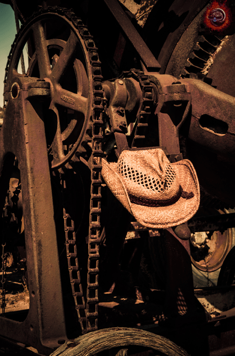 Relative truths - Can you lie to a horse, hog, or machine? What it really means to be 'in our truth'.