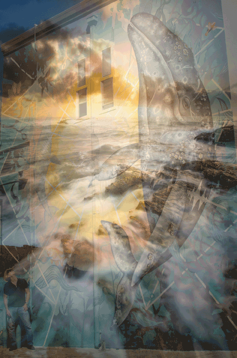 To call ourselves ‘human’ is to forfeit potential. Growing in self-realization, self-awareness evaporates. here, we cease to insist our descriptive experience as ‘human’.