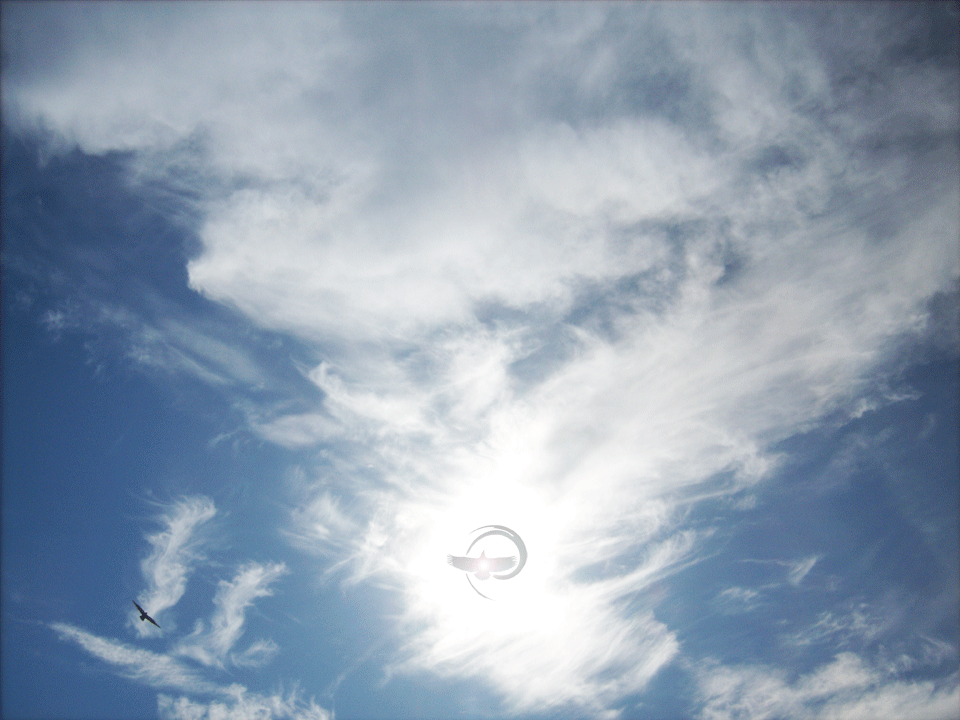 ‘Going towards the light’ is not what you think! Do you want to discover where it leads?