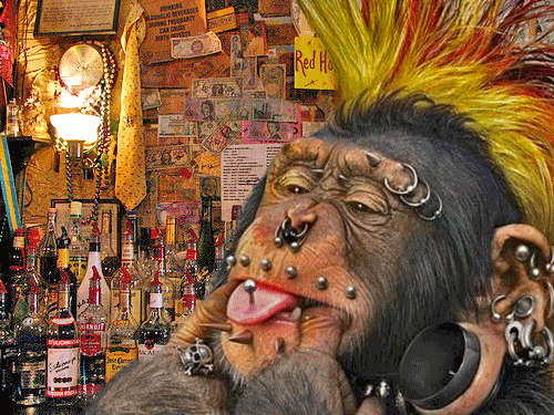 Chimps speak English! They're saying, 'perception implies attachment'.