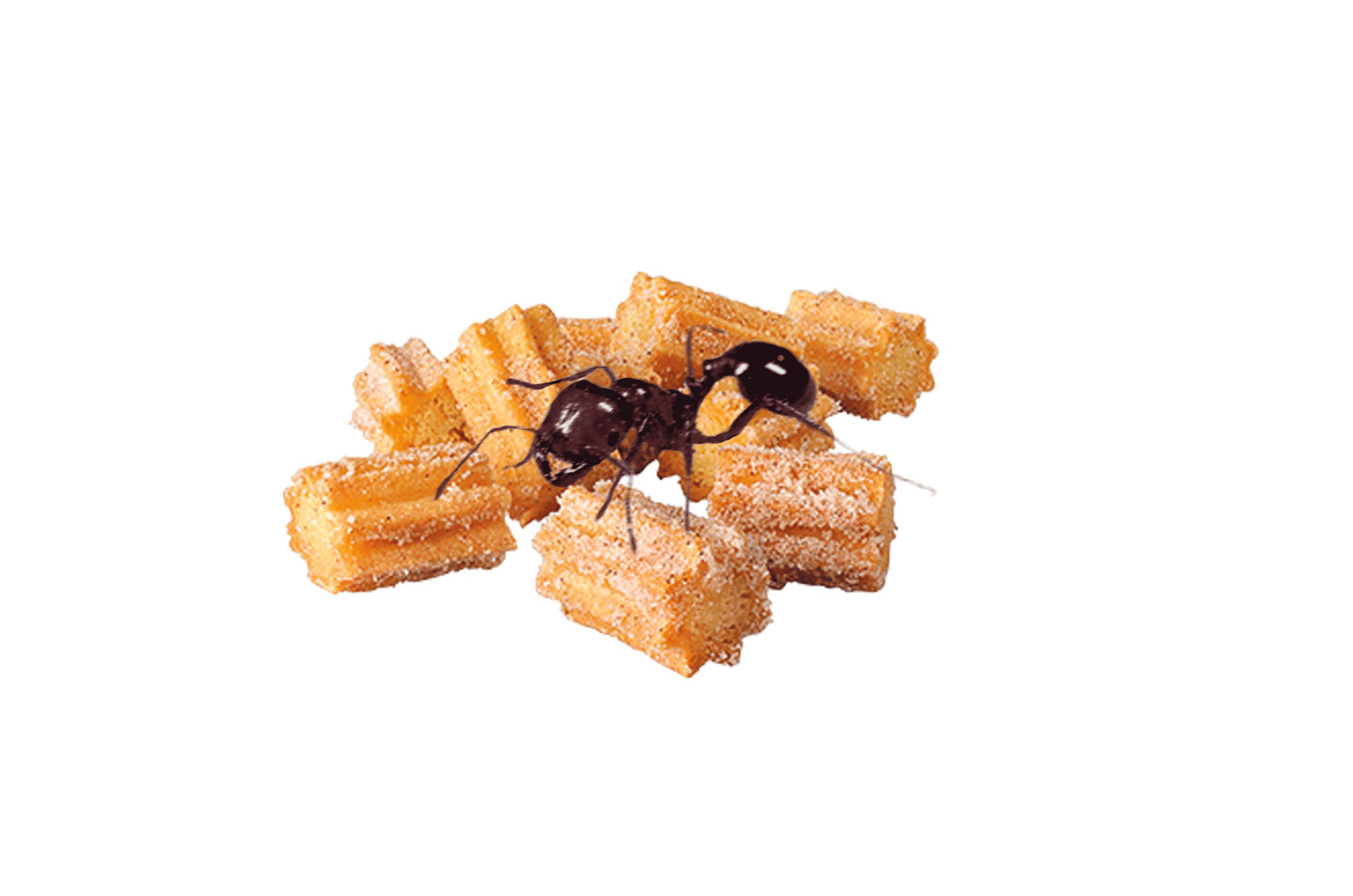 How adept are you at sidestepping pride while playing 'the creator'? Are you an arrogant creator?