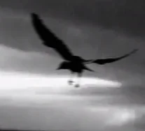 Released to the clouds, you have choice. Exercise choice &amp; accept the responsibility that comes with it.