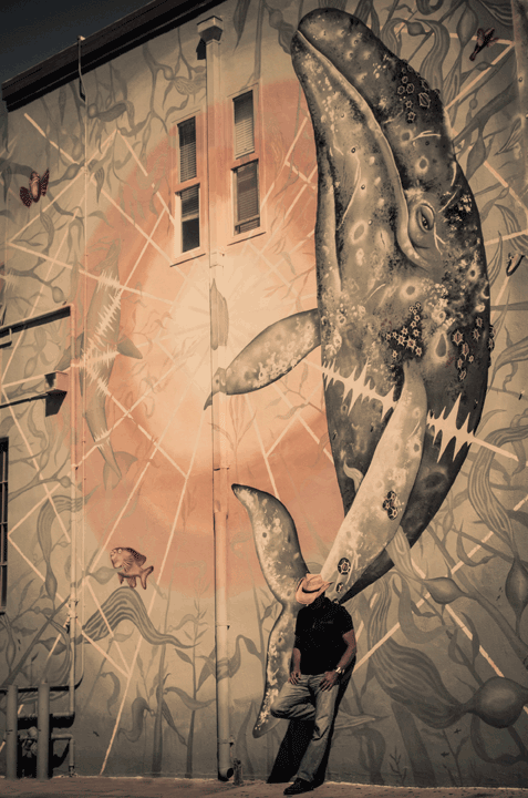 Why baby whales cry when born. Start washing ego to remove attachment to thought.