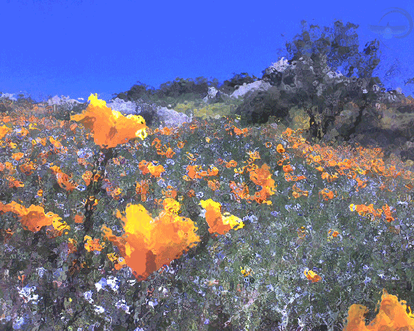 Is choice your burden? Many ‘animals’ choose to relinquish choice. Are you one of them?