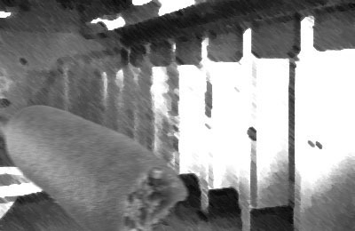 Time depends on your ‘small selves’ attention. Without it, there would be no such thing as a corn dog.