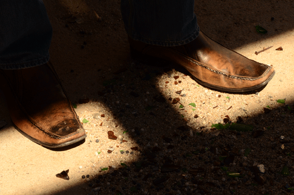 Remove your perceptive blinkers and become free as grassland wind.