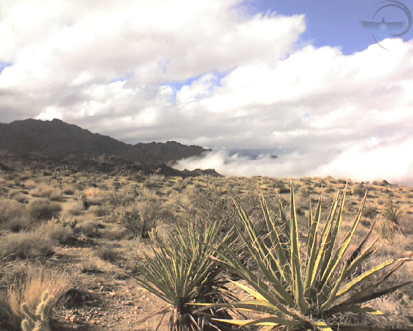 Take your power back from thought. Any belief in a separate, disconnected soul can be left behind.