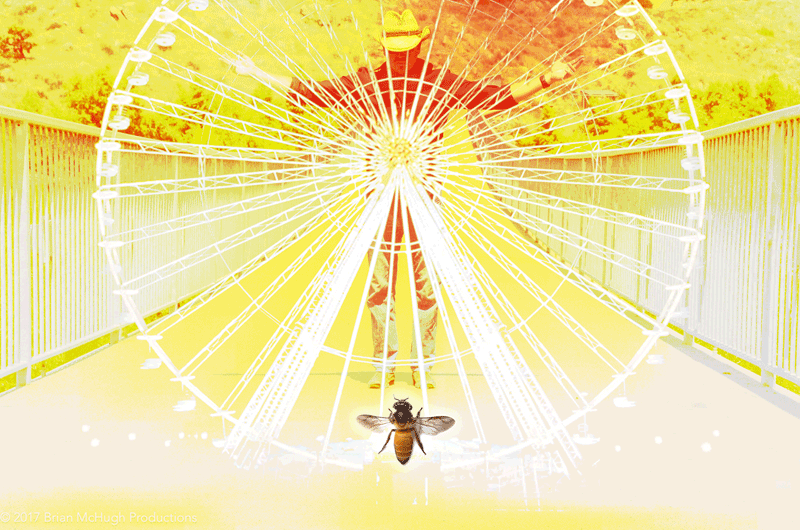 Learn the geometry of creation from a bee. Navigating the mirrored fractal honeycomb Part 4