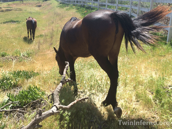 Most creatures are quite disinterested in ‘new ways of perceiving’.