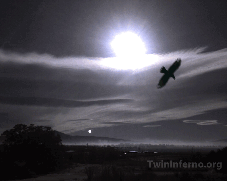 Crows don't try to fly. Be present and stop trying. Sunyata awaits.