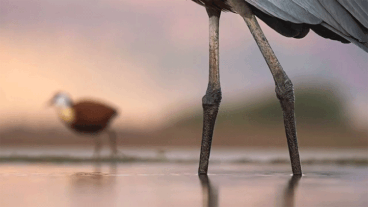 You have two God creators, one perceived and relative, the other actual and timeless. Just who conjures who?