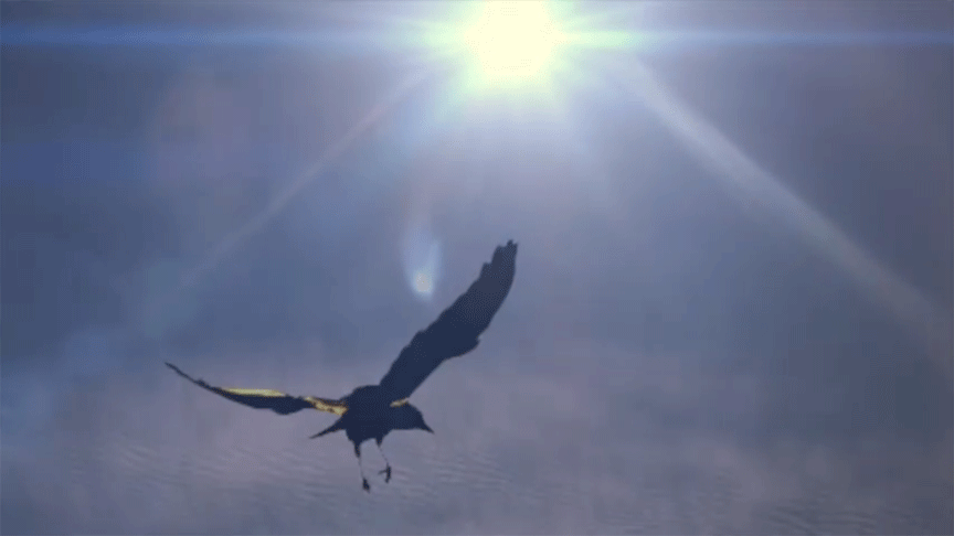 You get sun-blind when you look at sunspots too long.