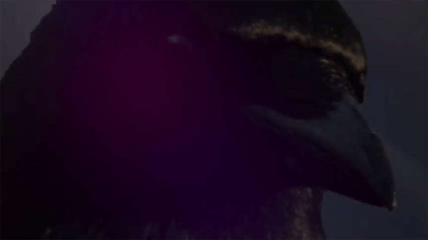 “Caw!! I’m headed toward the ‘light’ and ‘dark’ of soul.”