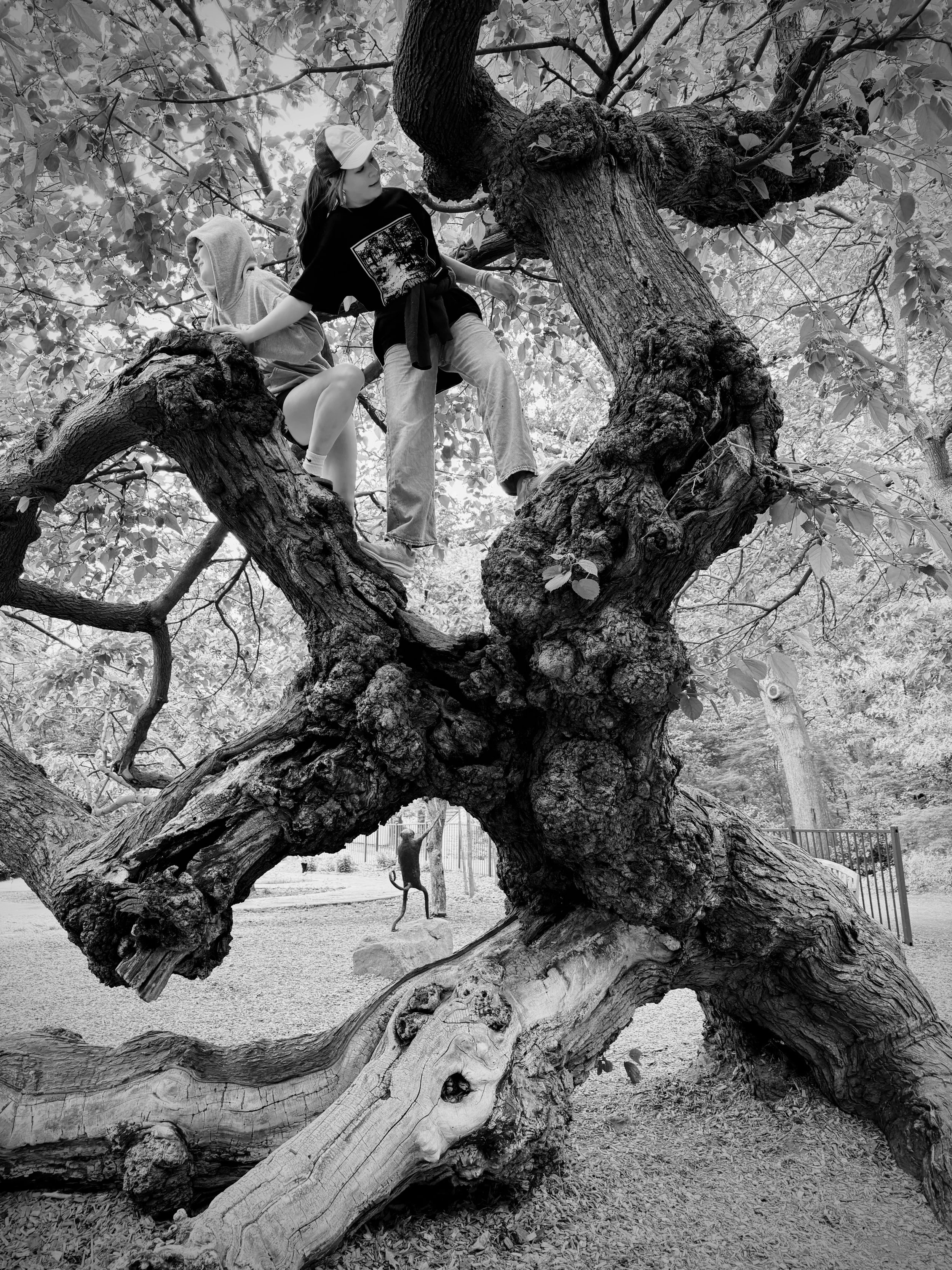 Family Tree, 2026