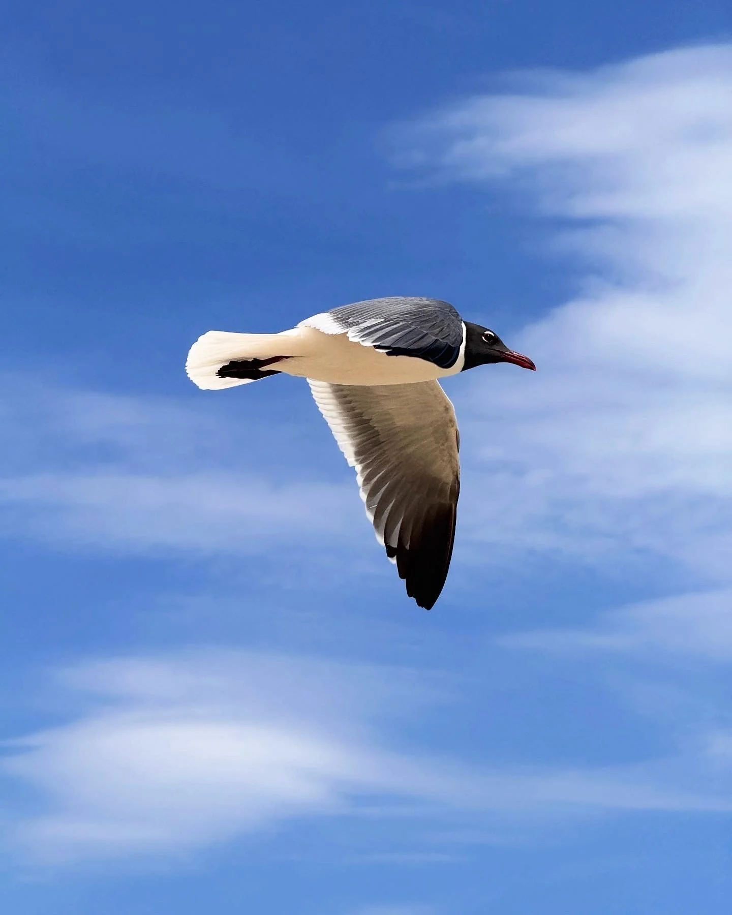 Cross Winds, 2025
