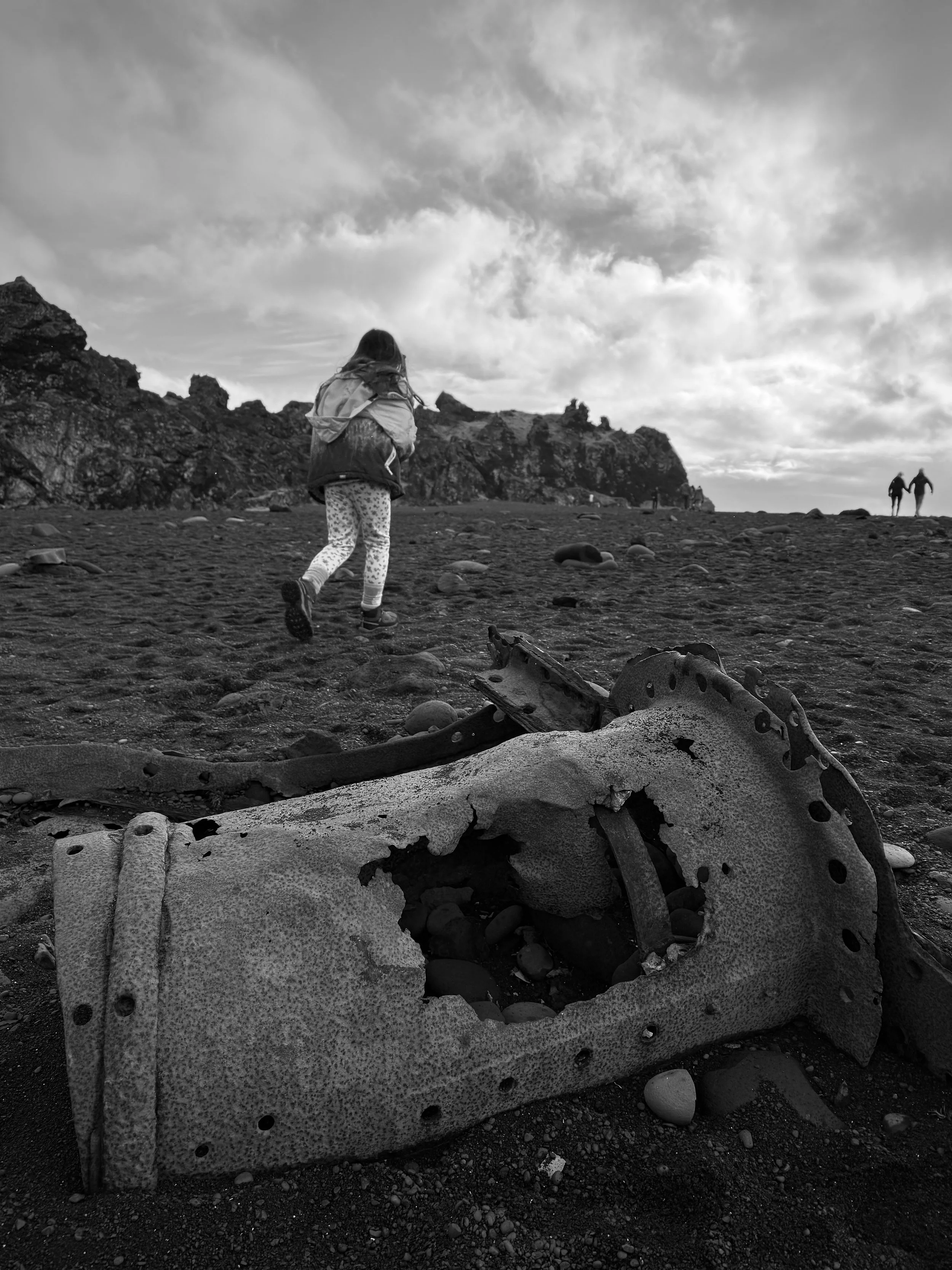 Icelandic Wreckage, 2025