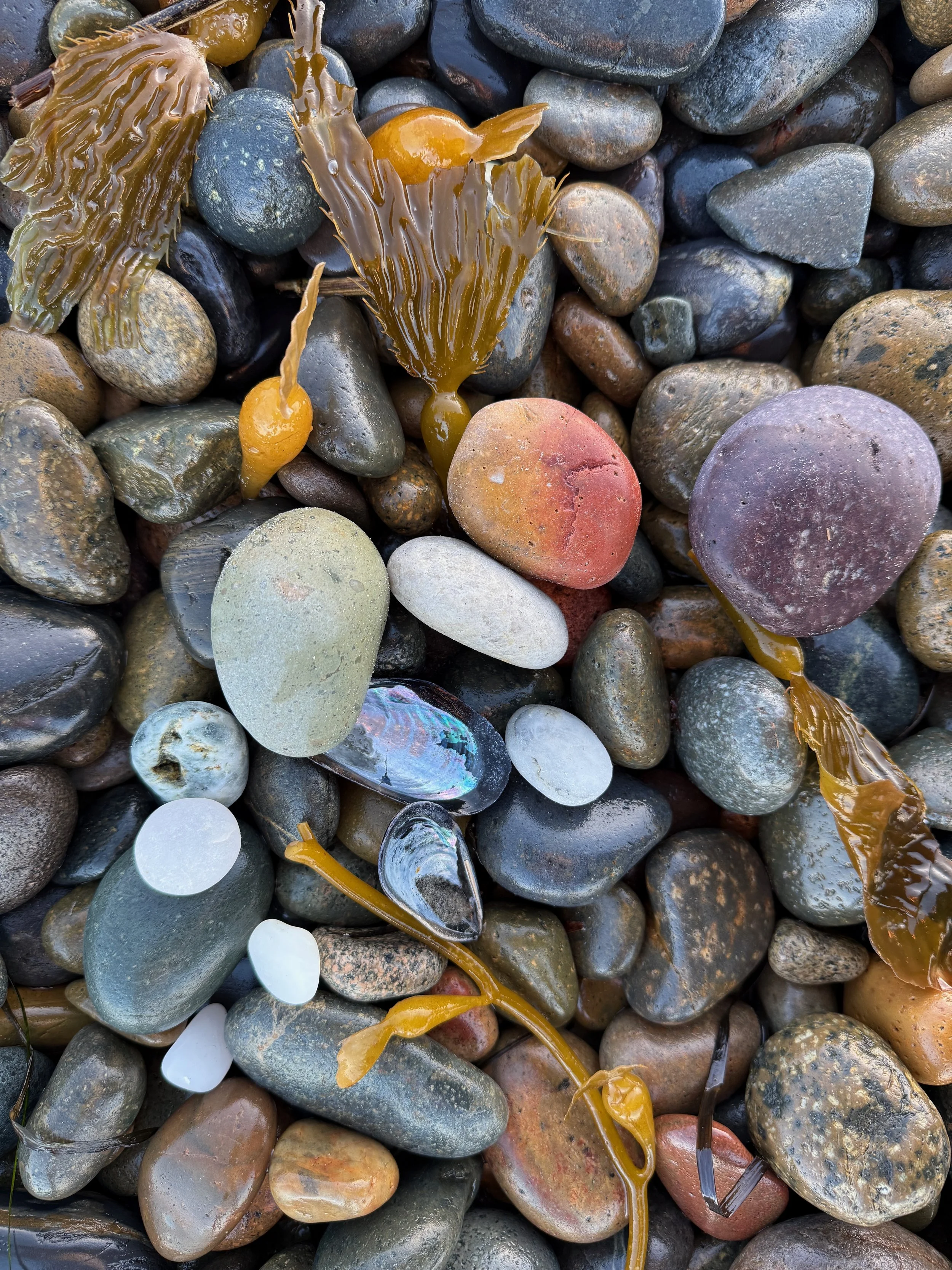 Jewels from the Sea, 2025