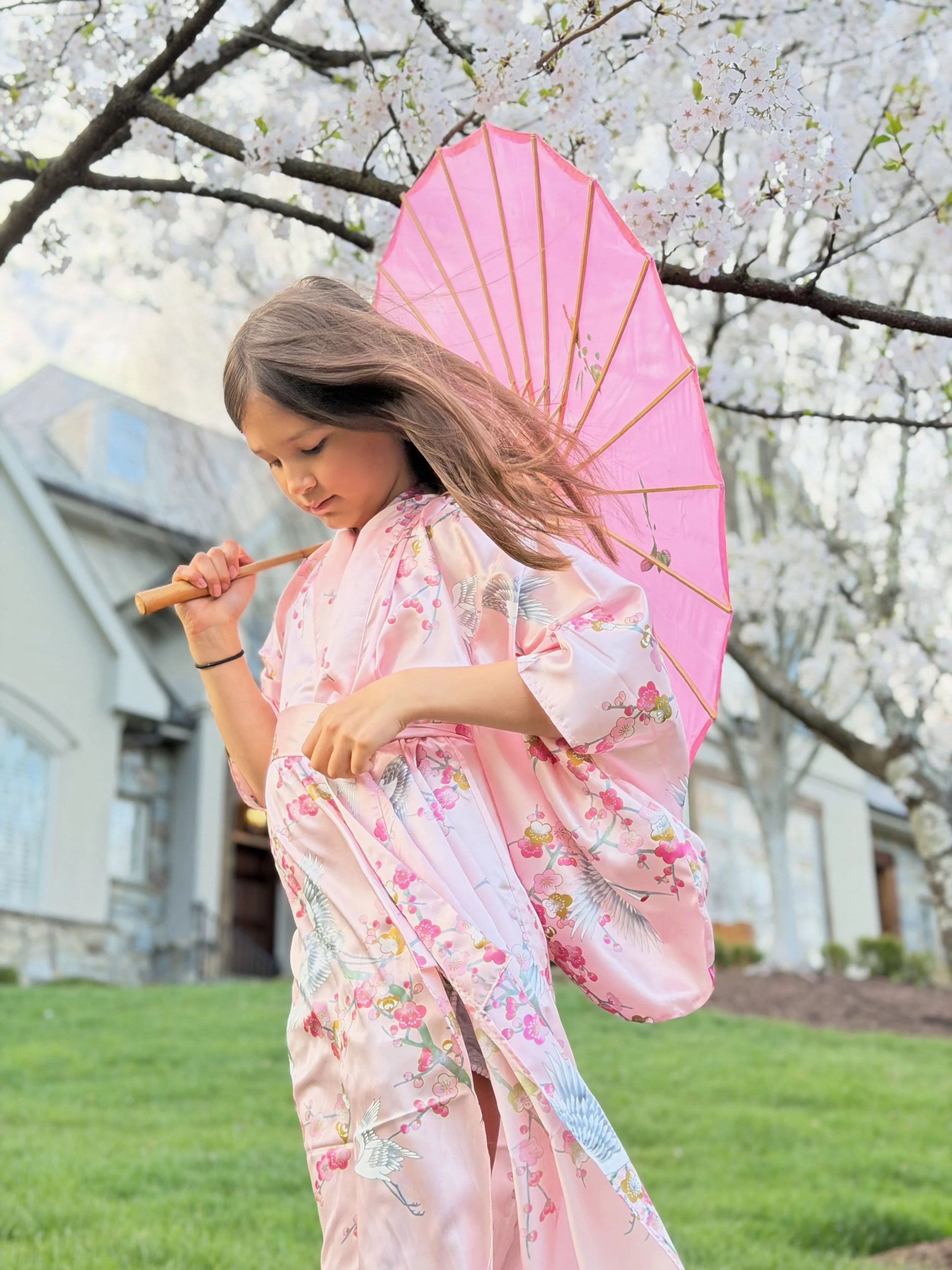 Spring Study, 2026