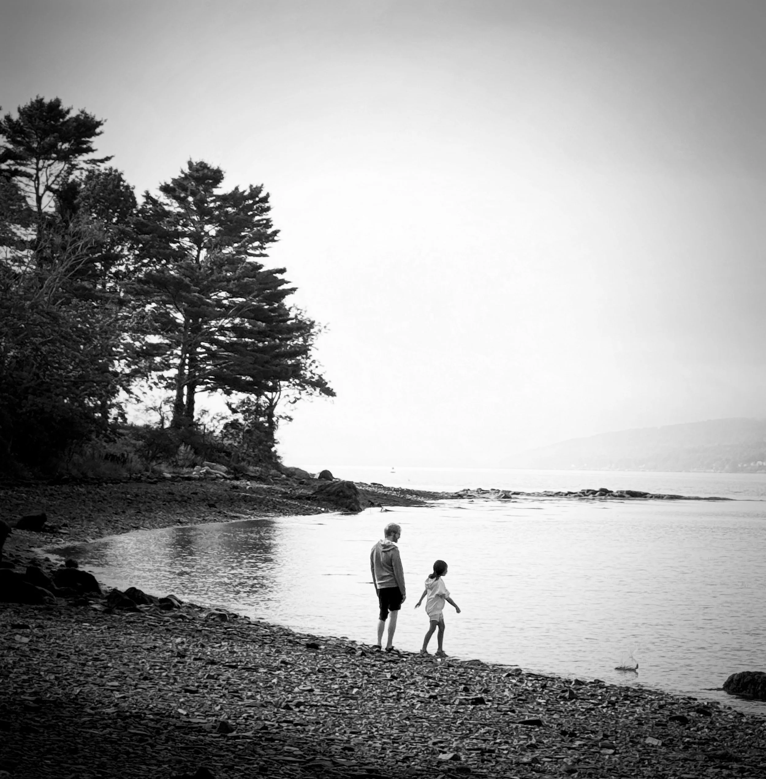 Skipping Stones, 2025